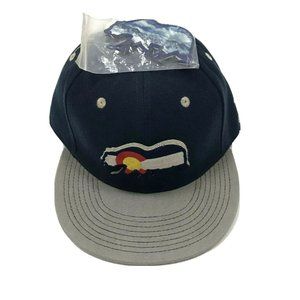Grassroots California Bear Hat Cap Fitted Blue